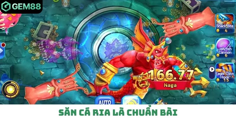 Săn cá ria là chuẩn bài